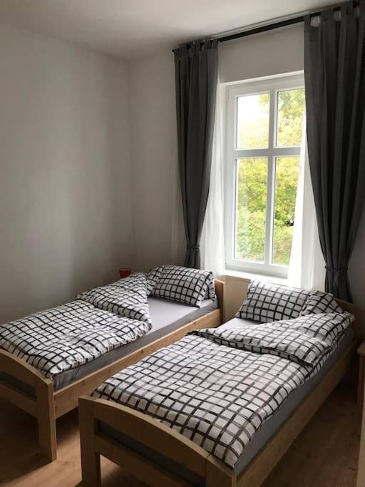 two beds in a room with a window at Wohnen auf Zeit Wohnung 05 in Jüterbog