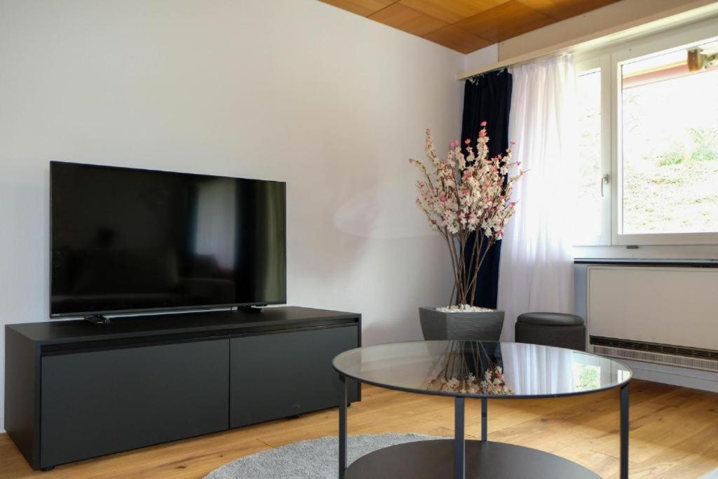 TV a/nebo společenská místnost v ubytování Mariposa Spiez