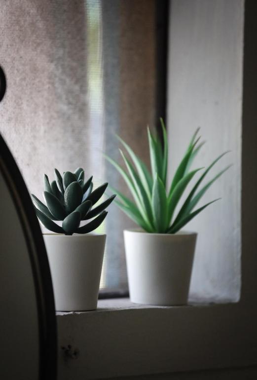 Sunflower Guesthouse and Animal Rescue - Koh Lipe - 5