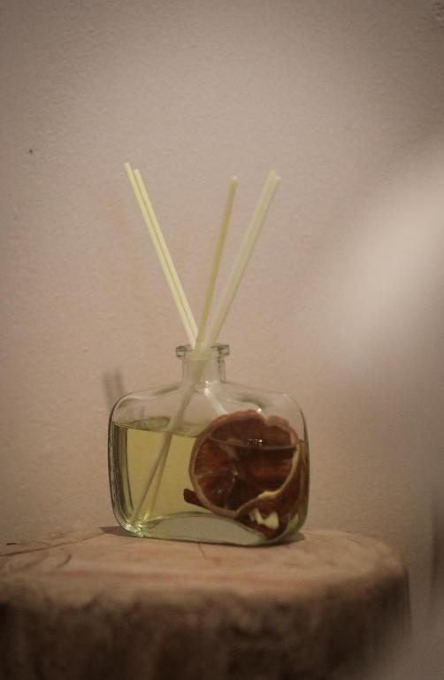 Sunflower Guesthouse and Animal Rescue - Koh Lipe - 10