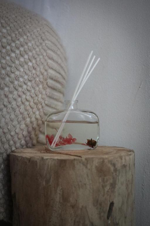 Sunflower Guesthouse and Animal Rescue - Koh Lipe - 19