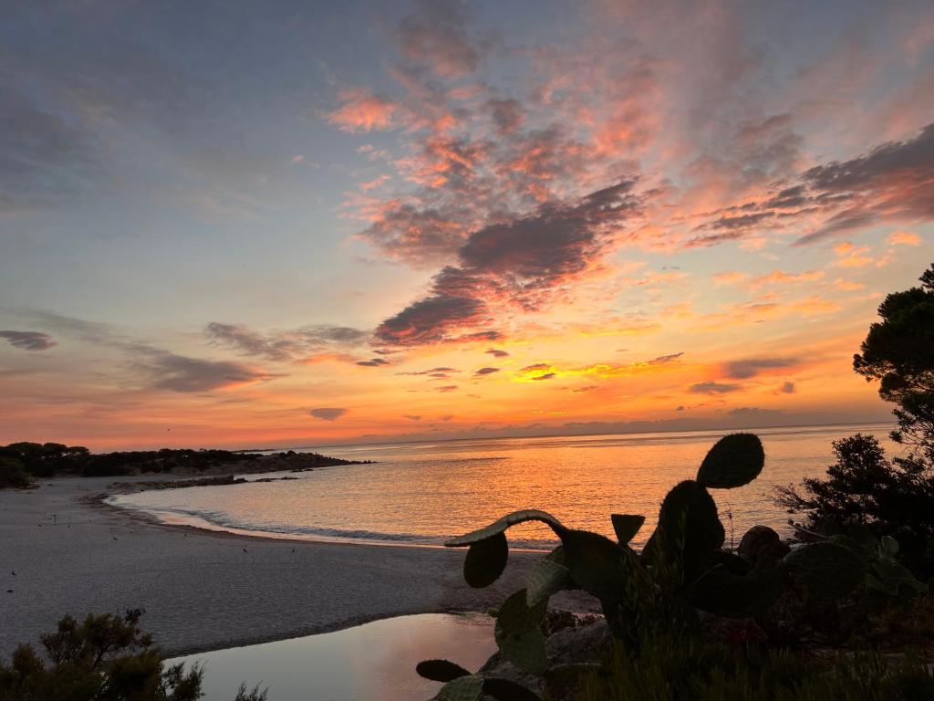 カーラ・リベロットにあるMarzy Homeの海沿いの海岸の夕日