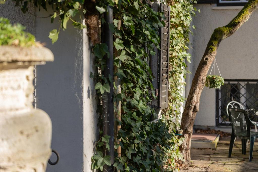 Gästehaus Englischer Garten - 12