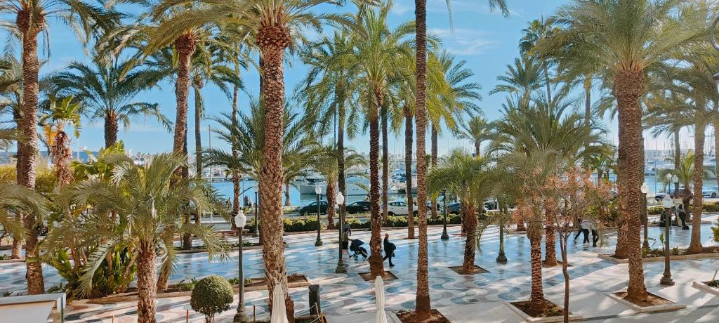 eine Reihe von Palmen in einem Resortpool in der Unterkunft Alicantissima Marina & Beach in Alicante