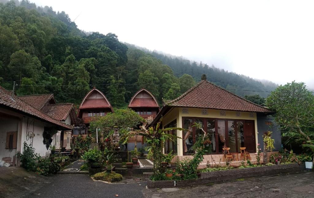 a group of houses with mountains in the background at Baruna Cottages in Kintamani