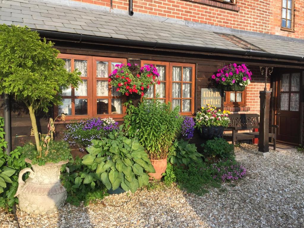 einen Garten mit Blumen und Pflanzen vor einem Gebäude in der Unterkunft Keepers Cottage in Wool