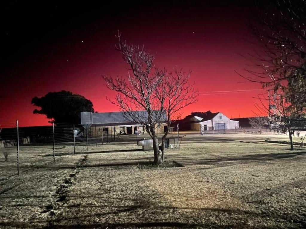 een boom in een veld onder een rode hemel bij Eittel Guest Farm Cottage in Winburg