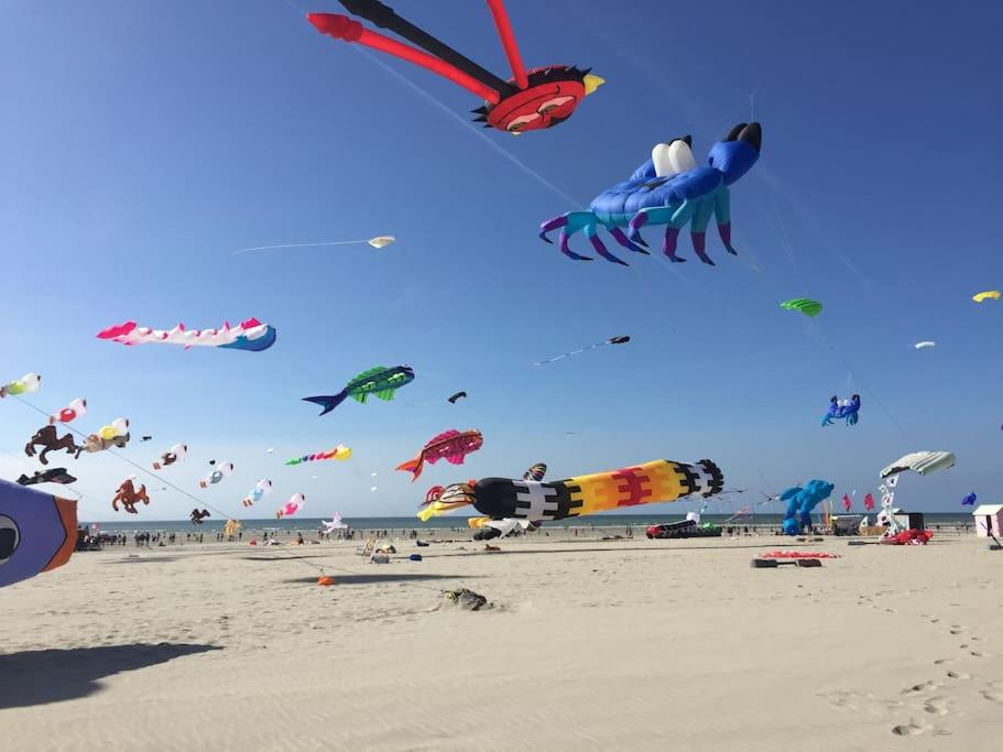 Une bande de cerfs volant dans le ciel sur une plage dans l'établissement Appartement à 2 pas de la mer, à Berck-sur-Mer