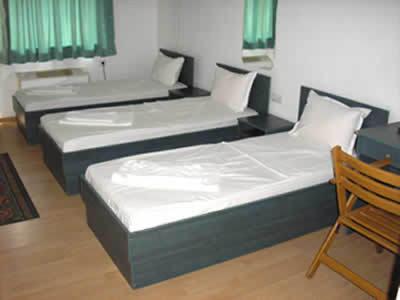 Postel nebo postele na pokoji v ubytování Hotel Pilevski