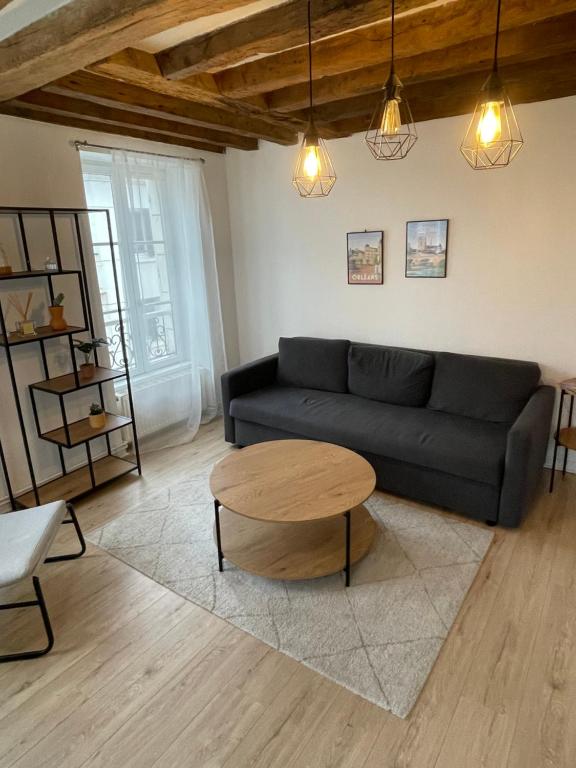 uma sala de estar com um sofá e uma mesa em Charmant appartement Orléans ! em Orléans