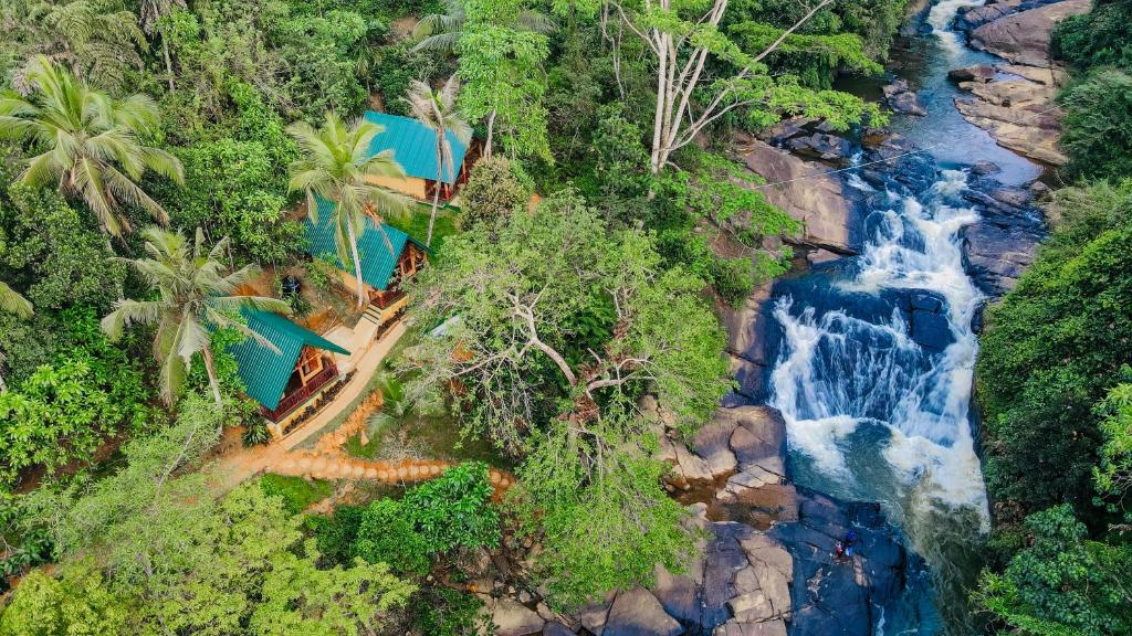 The Rainforest Hideaway - 1