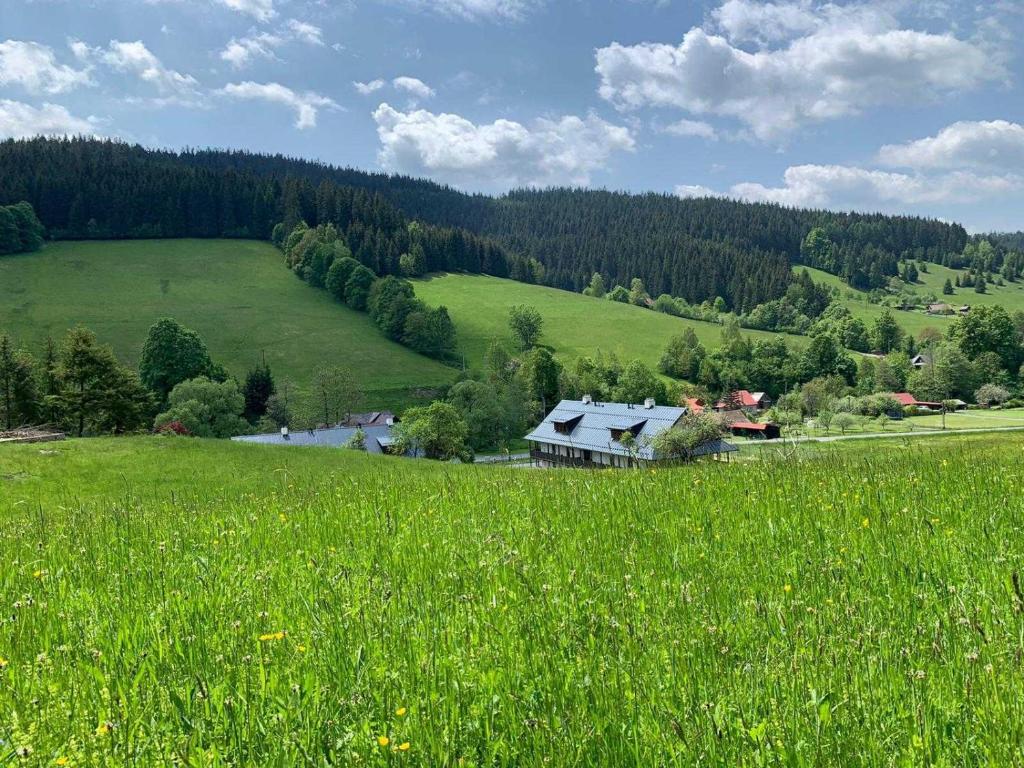 Příroda nedaleko apartmánu