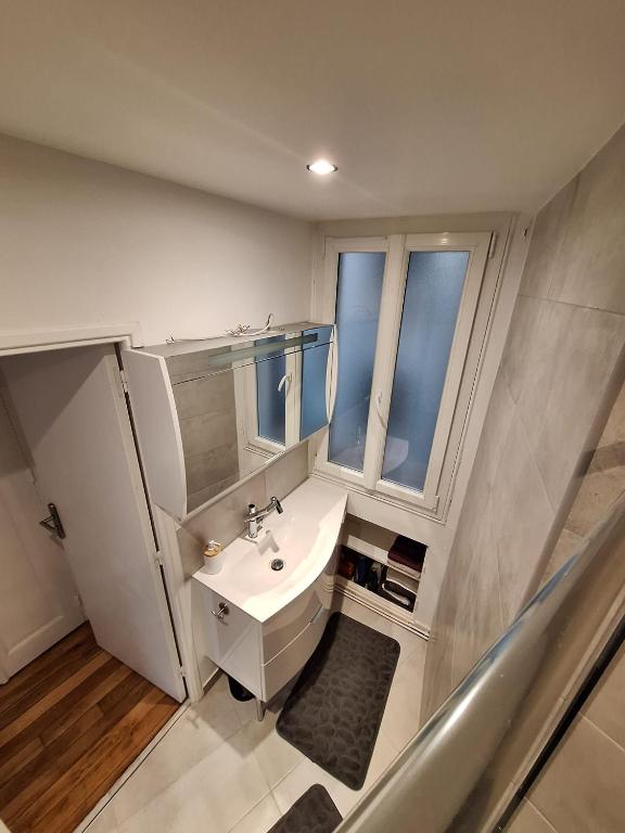 a bathroom with a white sink and two windows at Cosy Appartement in Paris 15th - Convention Center in Paris