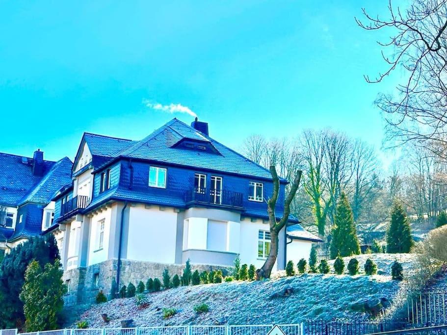 une maison bleue et blanche au sommet d'une colline dans l'établissement Villa Schloßblick-Schwarzenberg, à Neuanbau