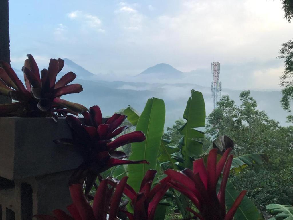 Kraras Munduk Guest House & DonBiyu Rendezvous Restaurant - 18