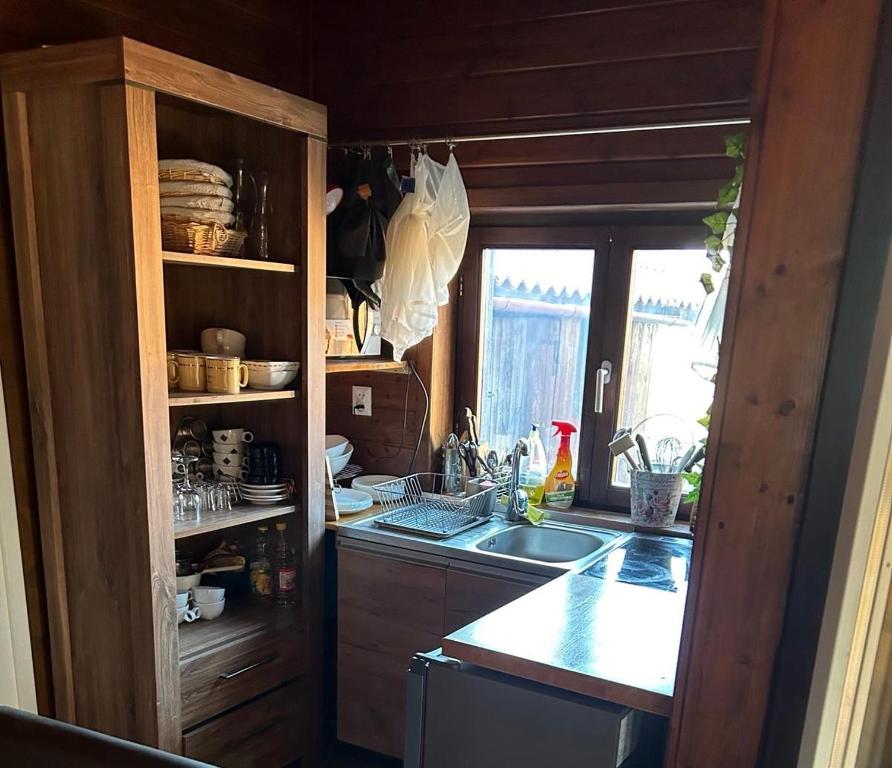 eine Küche mit einer Spüle und einer Arbeitsplatte in der Unterkunft Vila Boema in Vişeu de Jos