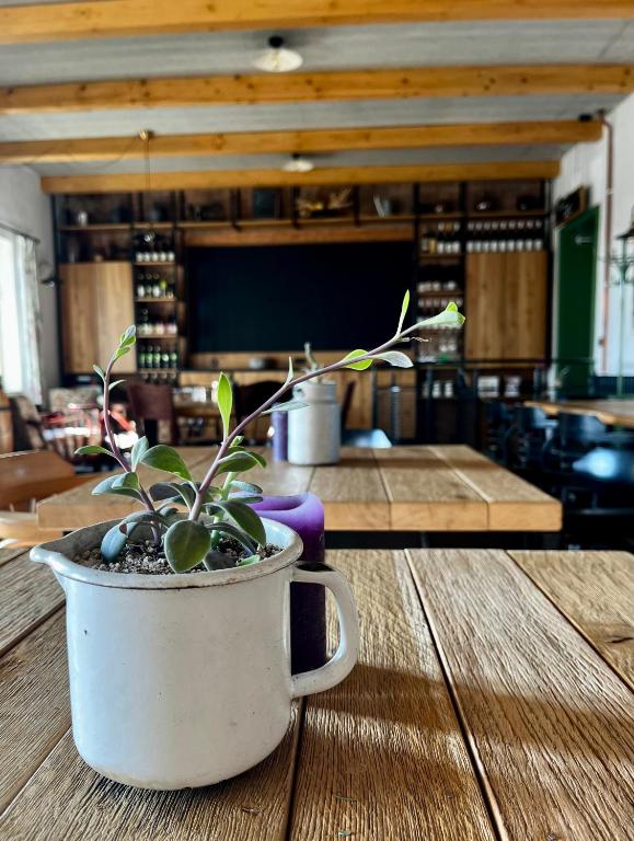 Fotografie z fotogalerie ubytování Penzion a bistro Starý kopec ve Znojmě