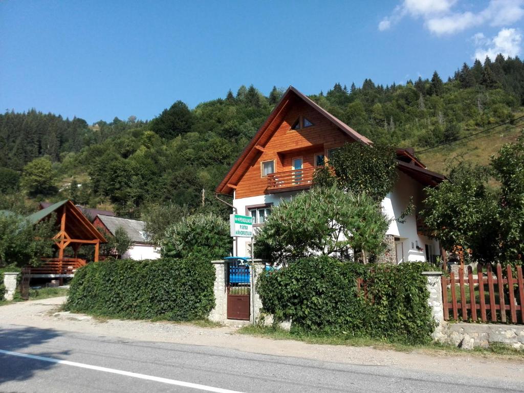 a house on the side of the road at Pensiunea Piatra Mandrutului in Scărişoara