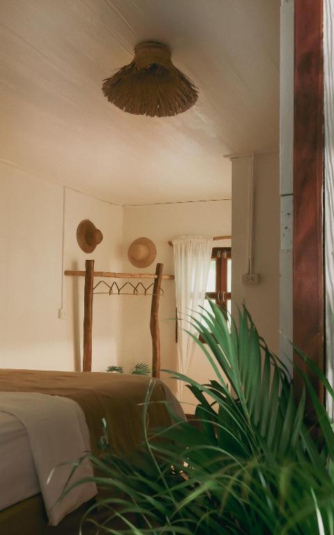 Sunflower Guesthouse and Animal Rescue - Koh Lipe - 11