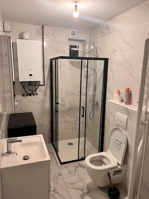 une salle de bain avec une douche, des toilettes et un lavabo dans l'établissement F3 On Saint-Vit !, à Saint-Vit
