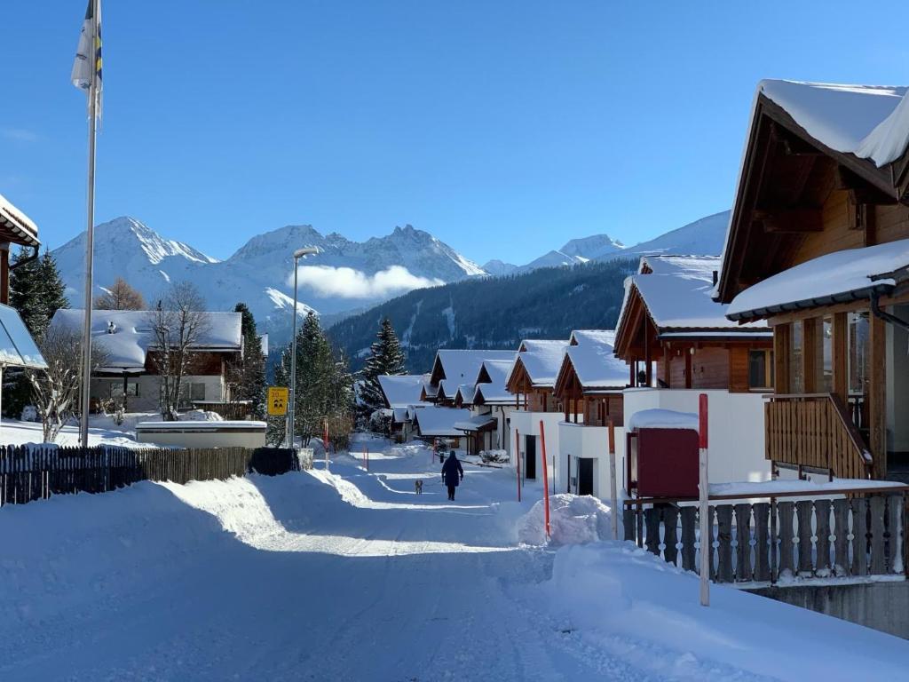 겨울의 Swiss Alpine Hideaway
