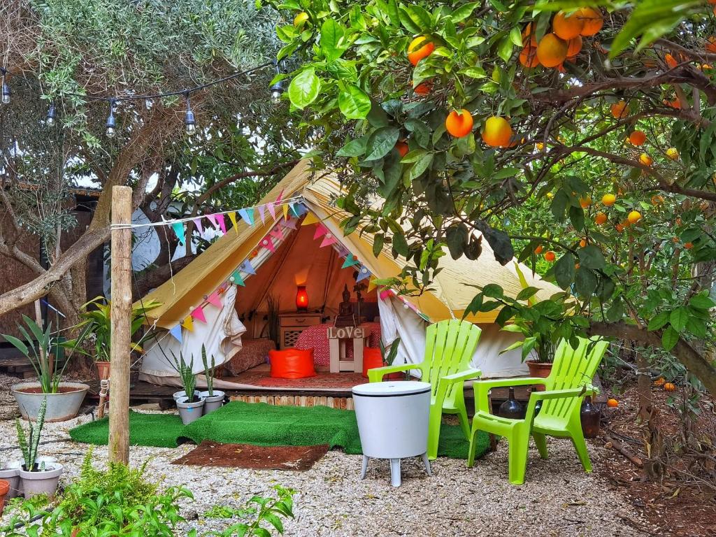 a tent with green chairs and an orange tree at Bell Tent Lovers by Casa das Artes in Luz de Tavira