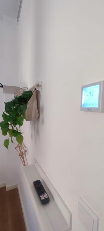 Casa do Albuquerque - 11