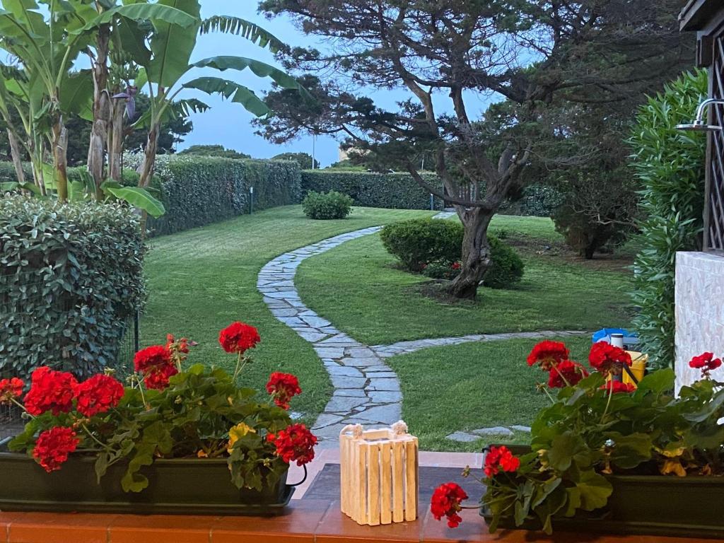 Сад в Pelosa - Capo Falcone Excellent Apartment