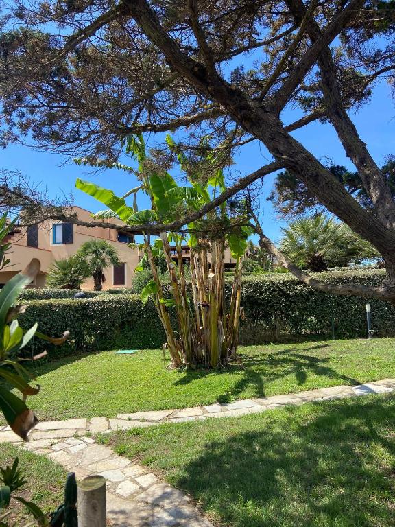 Сад в Pelosa - Capo Falcone Excellent Apartment