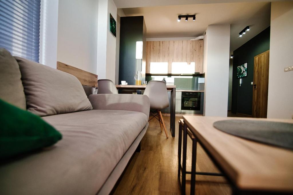Kuchyňa alebo kuchynka v ubytovaní Apartament No 34 Green - Holiday Home Zator