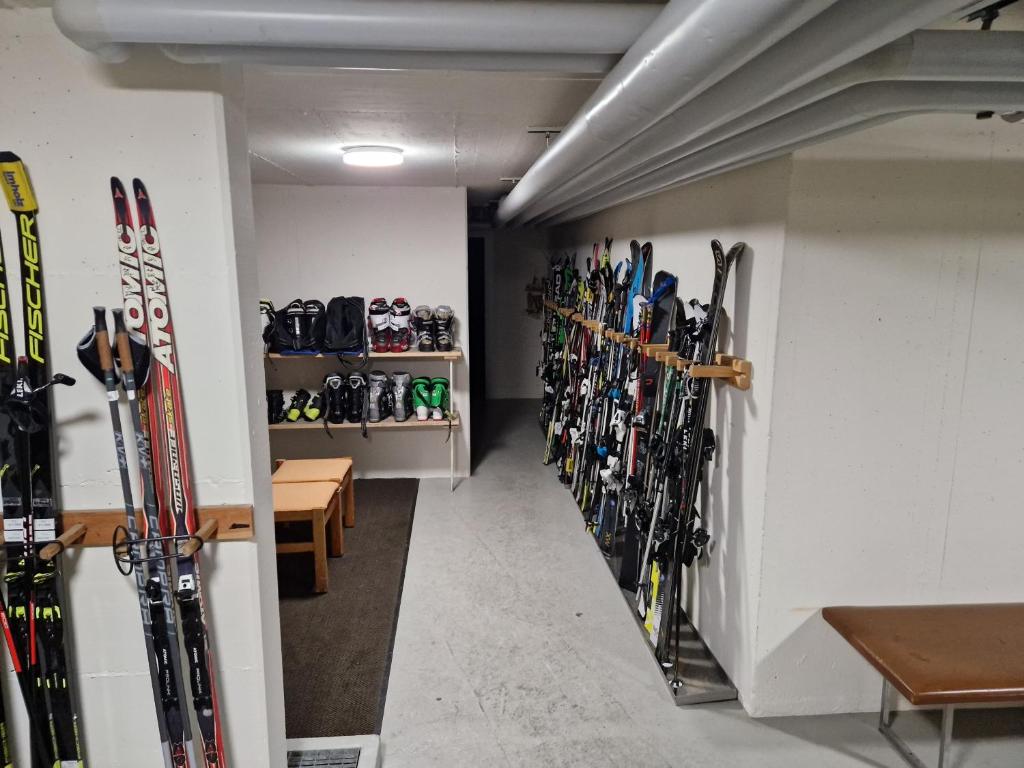 Fotografie z fotogalerie ubytování Sonnenzauber v destinaci Andermatt
