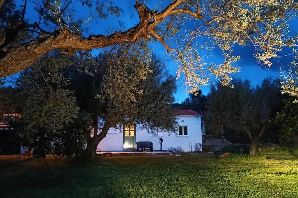 Una casa blanca con un árbol delante. en Rizaki Cottage in Nafpaktos, en Nafpaktos