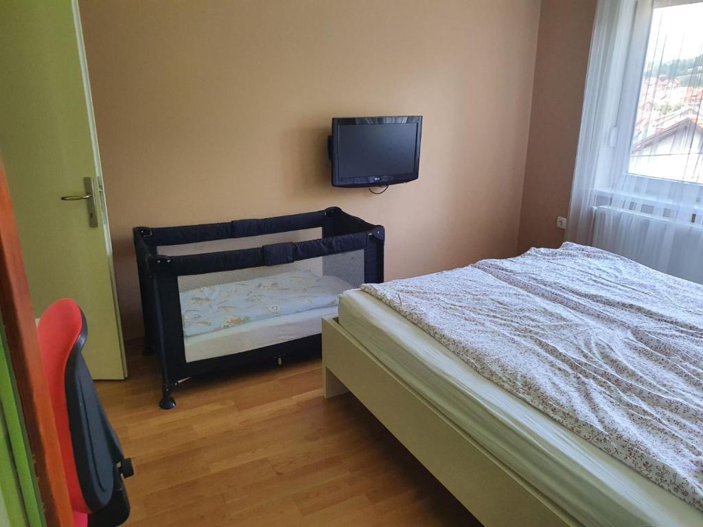 um quarto com uma cama e uma televisão na parede em Luksuzni Apartmani Mitić-Mint em Sokobanja