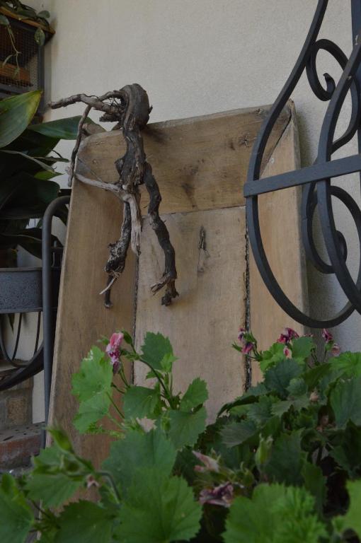 Ogród w obiekcie B&B La Roverella