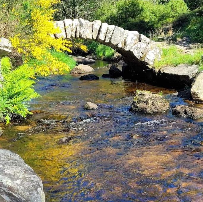 a stone bridge over a river with rocks and trees at Maison dans un havre de paix in Saint-Julien-le-Petit