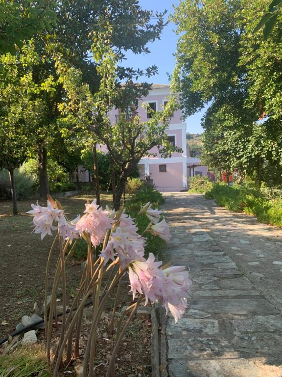 a bunch of pink flowers in front of a building at House in Propan in Kalamaki