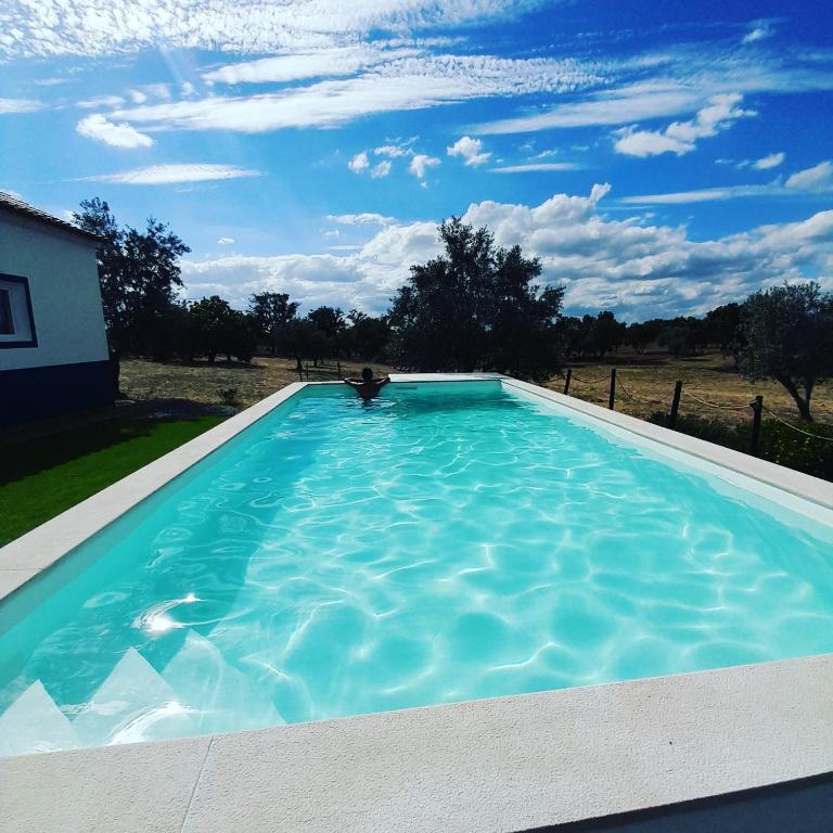 a large swimming pool with a dog sitting in it at Monte do Rochinha in Monte da Cardosa
