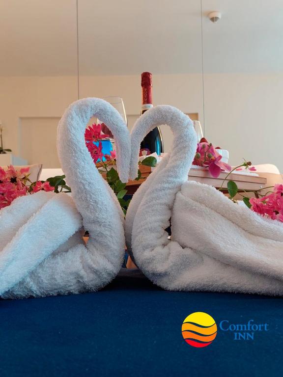 Fotografie z fotogalerie ubytování Comfort Inn ☆ Orbi City v destinaci Batumi