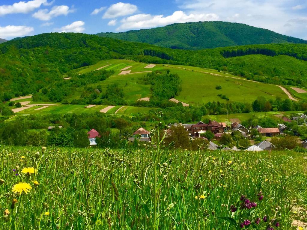 Příroda nedaleko penzionu – hostince