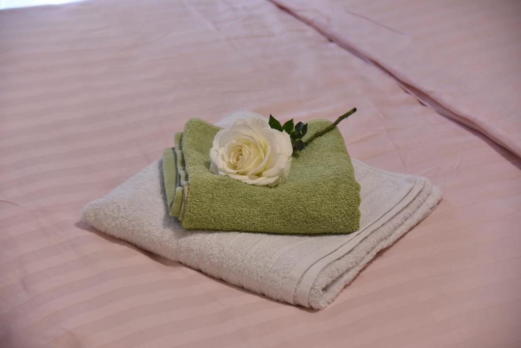 Φωτογραφία από το άλμπουμ του Citrus dream apartment στην Αθήνα