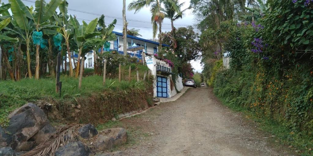 una strada sterrata accanto a una casa con palme di Hotel Rural Jardín a Jardin