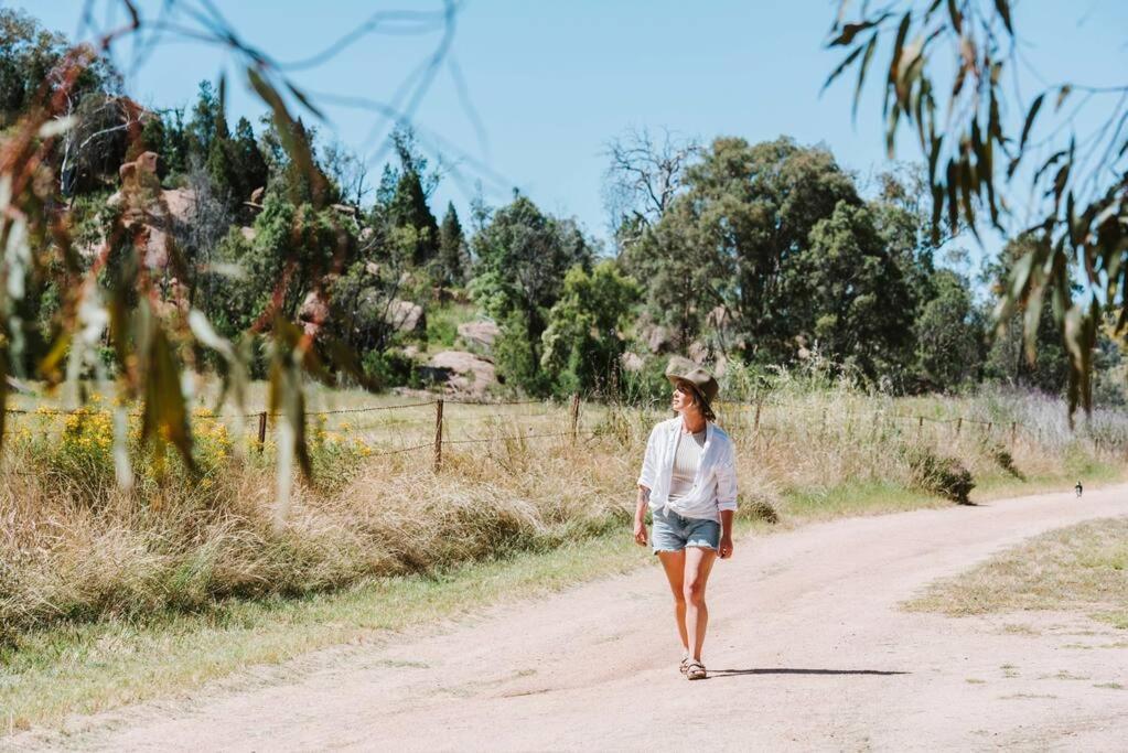 Hosté ubytování The Ithaca Farm Experience - A Unique Mudgee Escape