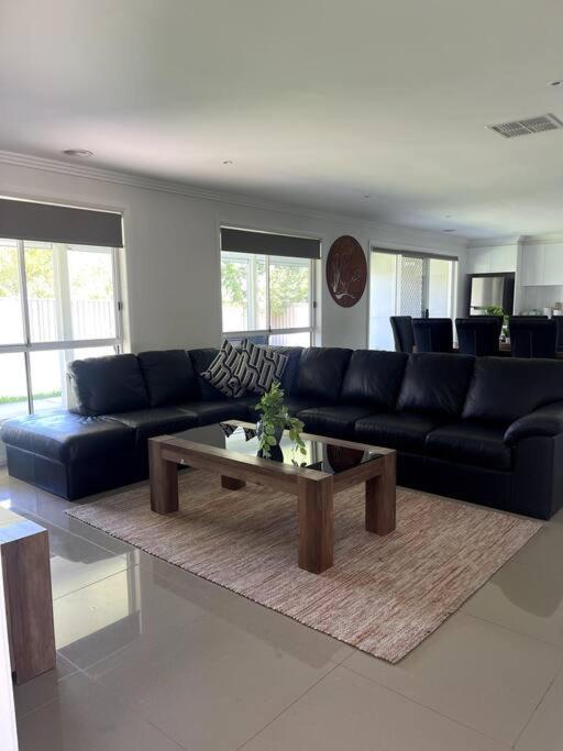 a living room with a blue couch and a coffee table at Stylish Open Plan Retreat in Wagga Wagga