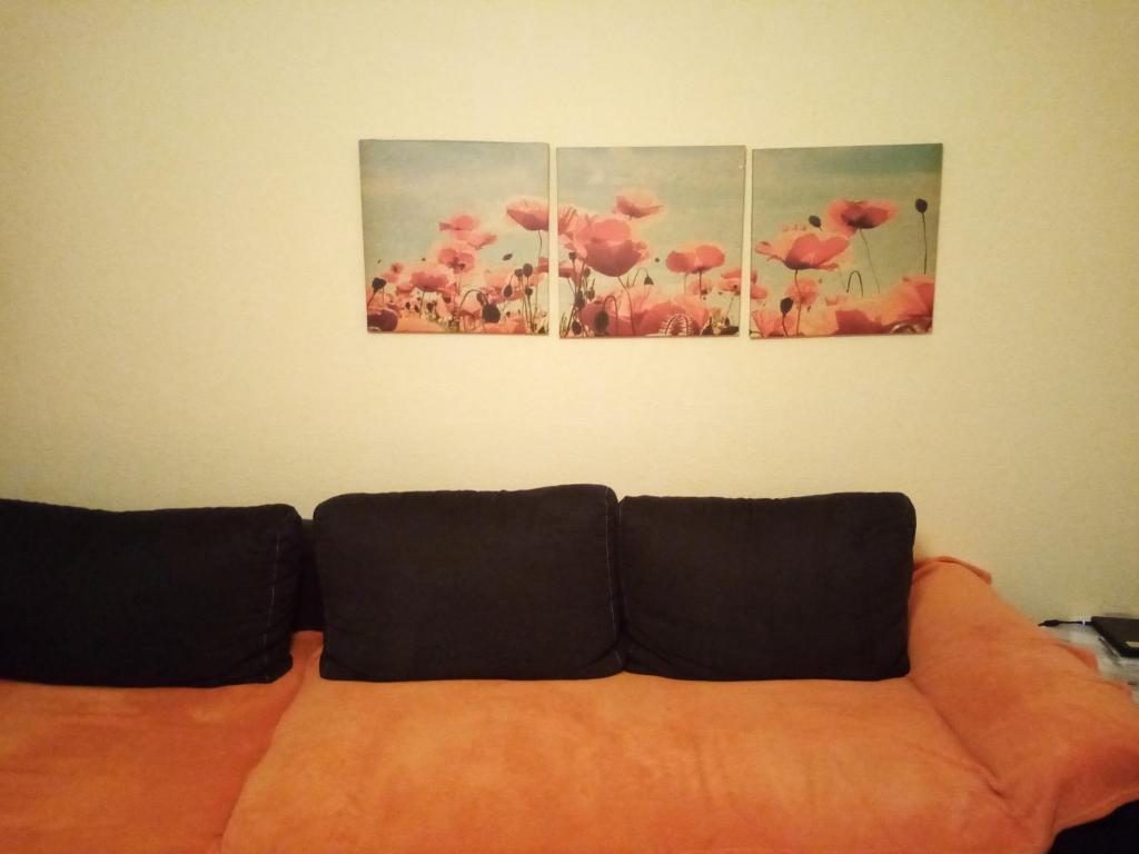 tres pinturas colgando en una pared sobre un sofá en H. Younes en Nabeul