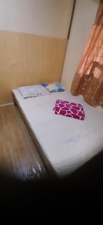 Postel nebo postele na pokoji v ubytování Hiker's Homestay