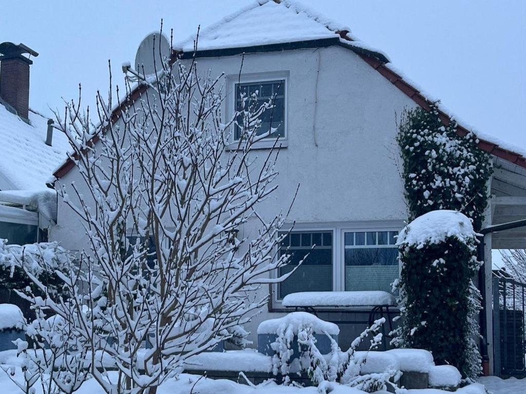 a house with a snow covered tree in front of it at Fischerhaus in Hooksiel