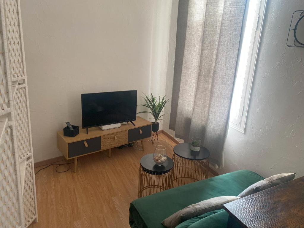 un salon avec une télévision et un canapé dans l'établissement LE BELFORT 2 Studio lunimeux Quartier les halles, à Narbonne