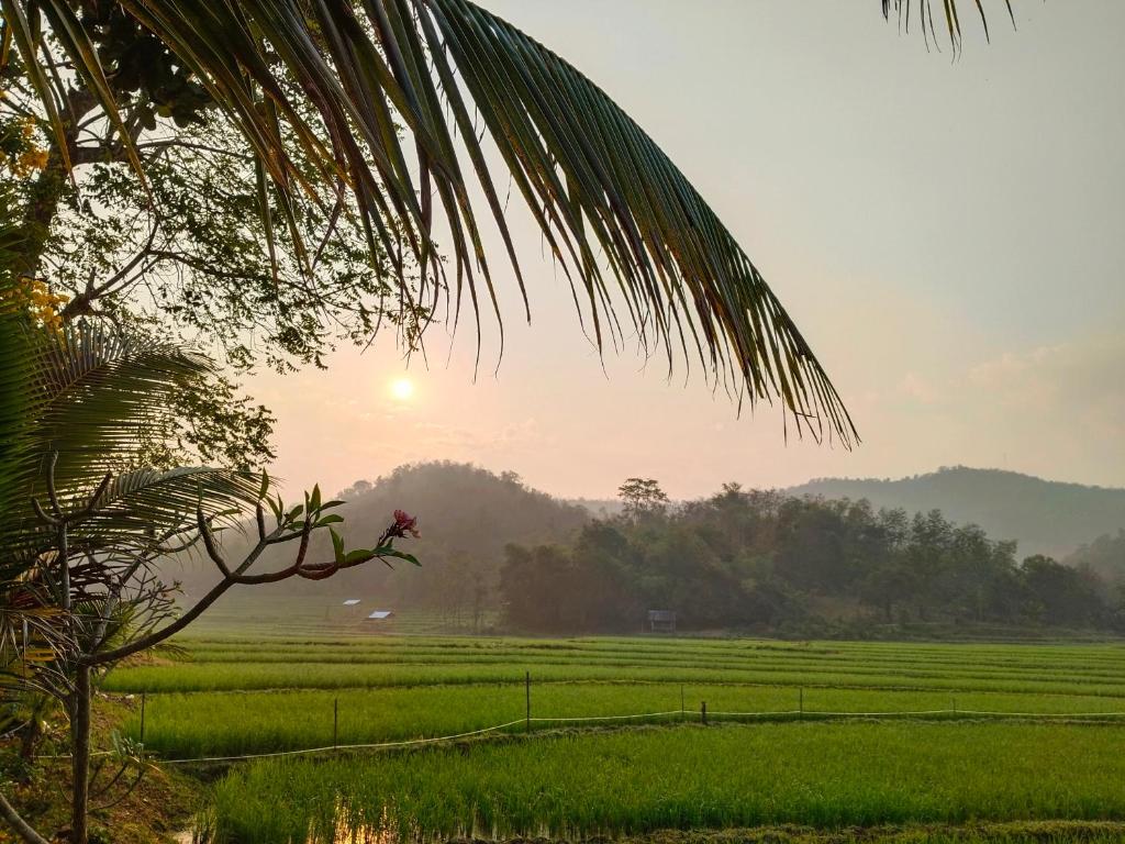 een uitzicht op een groen veld met de zon in de lucht bij Glamping Laos in Luang Prabang