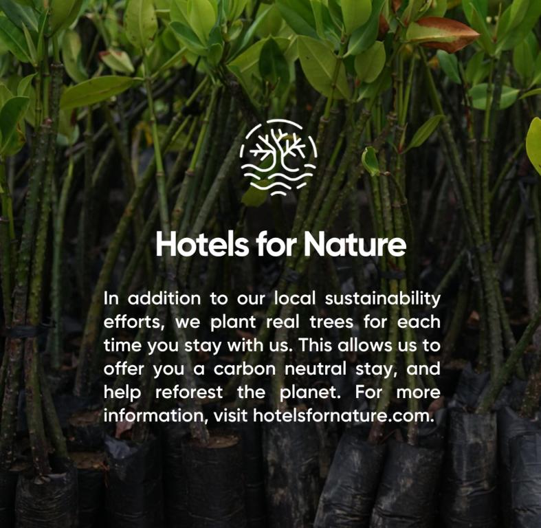 First Hotel Millennium - Resim 11