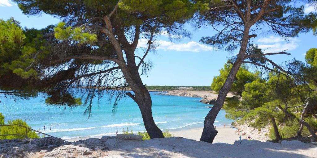 - une vue sur la plage avec des arbres et l'océan dans l'établissement A 100m de la plage - Vue mer - Climatisé, à Sausset-les-Pins